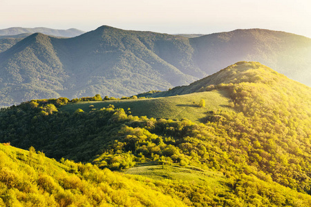 春暖花开，青山一树山.美丽的草地在山顶和森林，新鲜的叶子在金色的阳光。俄罗斯克拉斯诺达尔