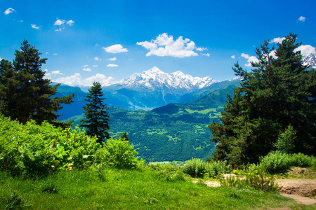 在山中美丽的夏日风景