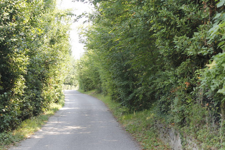 意大利北部乡村道路景观图片