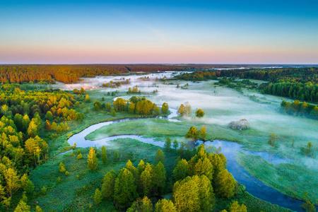 春天的风景,晴朗的蓝天,在阳光明媚的草地上与大多数.