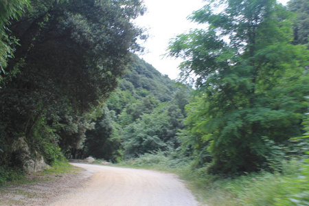 意大利北部乡村道路景观