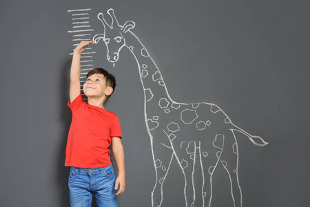 可爱的小孩子在粉笔长颈鹿附近测量高度，画灰色背景