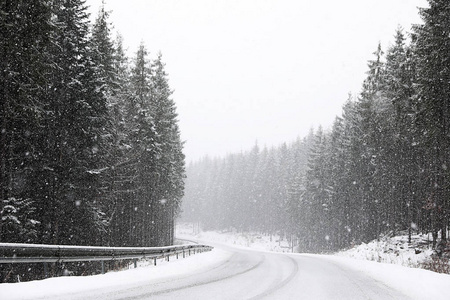 美丽的风景，有针叶林和道路，雪冬天