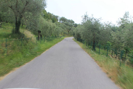 意大利北部乡村道路景观