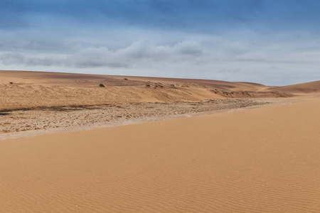 带纳米贝沙漠植被的沙丘照片。 非洲。 安哥拉