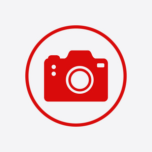 照片相机辛波。 DSLR相机标志图标。 数码相机。 平面设计风格。