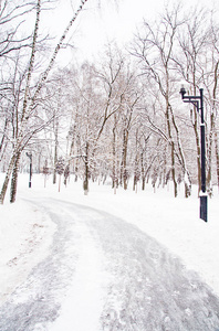 冬天公园里的路灯和小径
