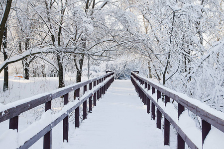公园里白雪皑皑的桥和树