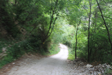 意大利北部乡村道路景观