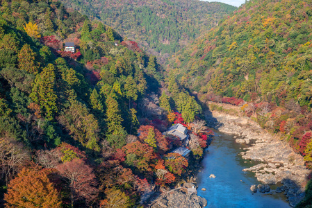 秋日日本京都山鸟瞰图