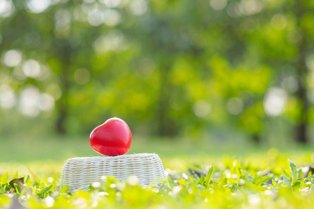 红色心形在绿色自然背景下的花园室外。 爱心情人节健康保险和慈善理念