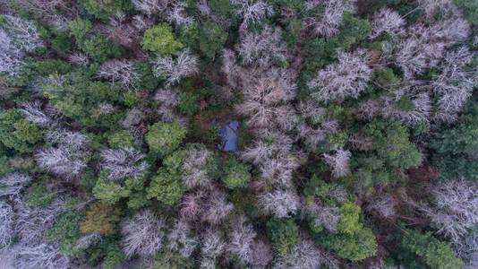 阿拉巴马州达芙妮移动湾东岸和10号州际桥的鸟瞰图。 2019年1月