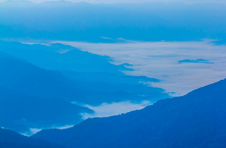 森林山风景黎明非常美丽