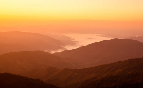 森林山风景黎明非常美丽