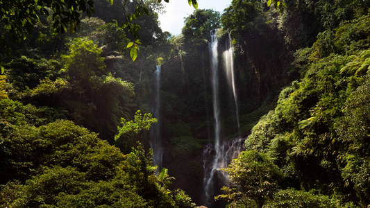 美丽的热带瀑布巴厘岛, 印度尼西亚