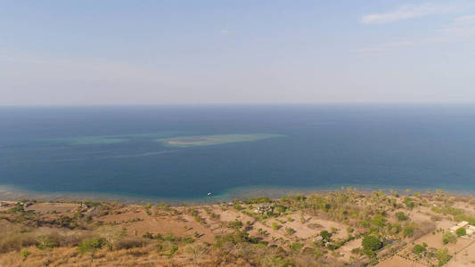 与热带海滩海景