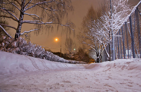 傍晚冬季公园的雪道和树木