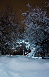 冬天公园里的路灯树和雪堆图片