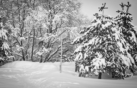 小径路标和雪下的云杉，黑白相间