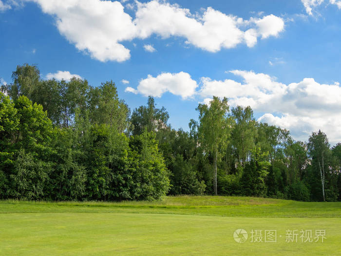 乡村高尔夫球场 田野森林和蓝天上长满了绿色的草。 晴天的云景。 俄罗斯。