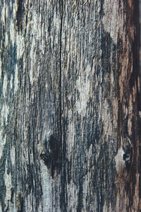 木制木板接近美丽的木材纹理。