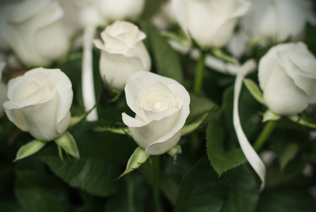 带叶子的白色玫瑰花束，背景