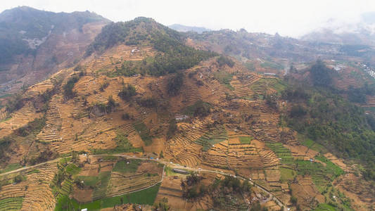 热带景观与农田在山