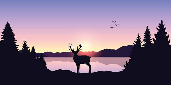 美丽的日出时在湖边的驯鹿