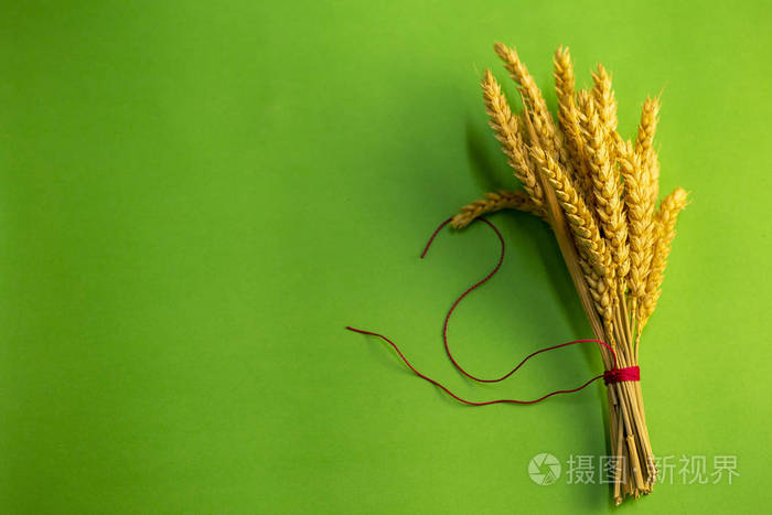 在绿色背景上用红线绑着的一束麦子