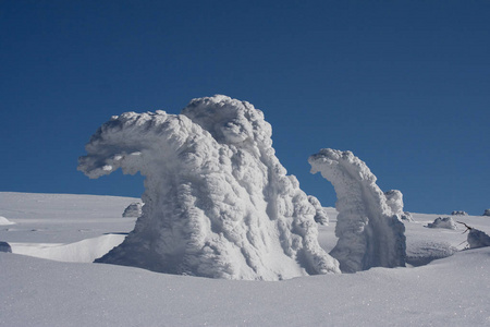 冬景雪覆盖山和树图片