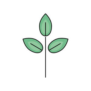 自然植物叶片设计生态护理矢量插图