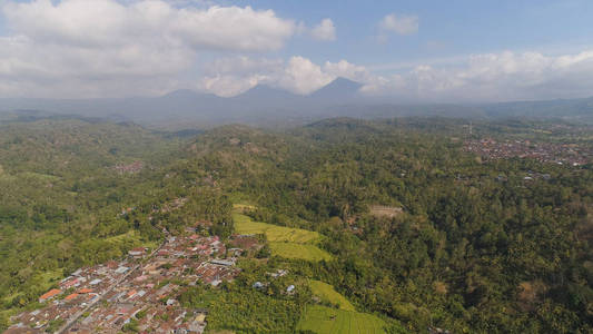 热带景观与农田在印度尼西亚