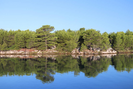 风景如画的海湾被针叶林的绿色植物所包围。 过海后平静休息。 地中海地区亚得里亚海上的克罗地亚里维埃拉。 水中树木的镜面反射