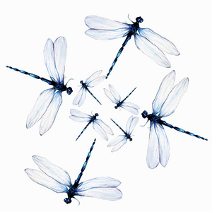 白色背景的水彩蜻蜓