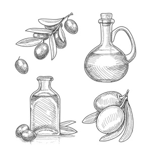 橄榄果在树枝上,橄榄油在玻璃瓶素描. 韩寒照片