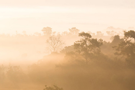 泰国国家公园日出暮天雾海山景