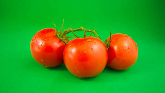 绿色背上有新鲜的红色西红柿