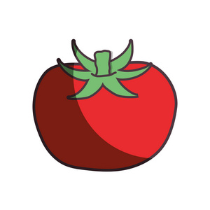 线番茄有机健康蔬菜插图