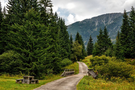 通过捷克共和国的森林通往山脉的道路。 美丽的全景自然在山上是自然的奇迹。 夏日的心情。