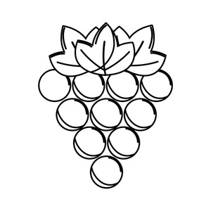 矢量图像的水果图片-矢量图像的水果素材-矢量图像的水果插画-摄图新