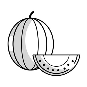 线美味切片西瓜水果与维生素和蛋白质载体插图