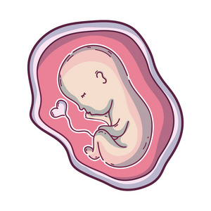 子宫内图片-子宫内素材-子宫内插画-摄图新视界