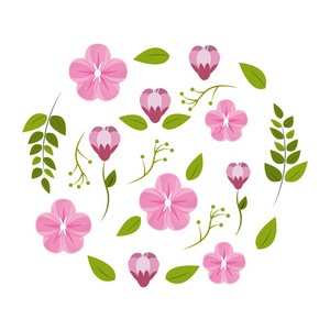 花卉和玫瑰植物装饰矢量插图设计