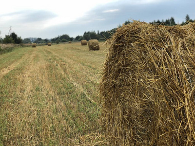 在夏日的清晨斜斜的田野上的干草堆照片
