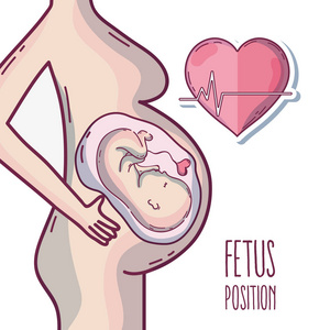 子宫内婴儿脐带及心跳矢量图