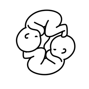 线好婴儿双胞胎脐带矢量插图照片