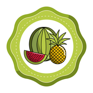 西瓜和菠萝水果图标矢量图设计