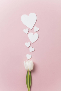 粉彩背景上的白色花朵和心