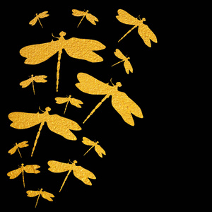 黑色背景上的一套金色蜻蜓