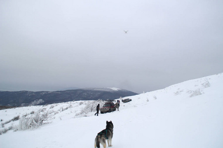 冬季越野和哈士奇狗。 去山顶探险。 雪峰。 机器被困在雪地里。 乌克兰。 鱼